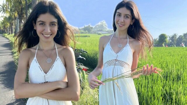 Imagen Recolector de arroz dulce